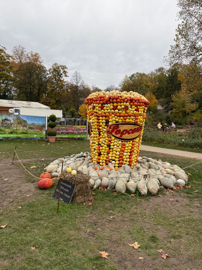 📍 Esposizione di zucche, Ludwigsburg/ 📍 Pumpkin exhibition, Ludwigsburg