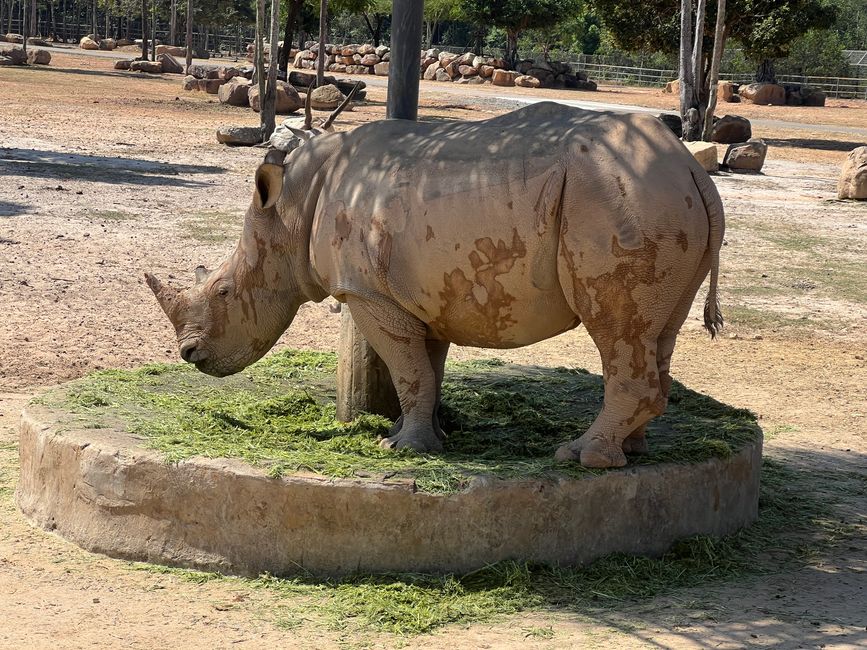 Tag 16 - Phu Quoc: Tierische Higloghts und glitzerndes Einhorn