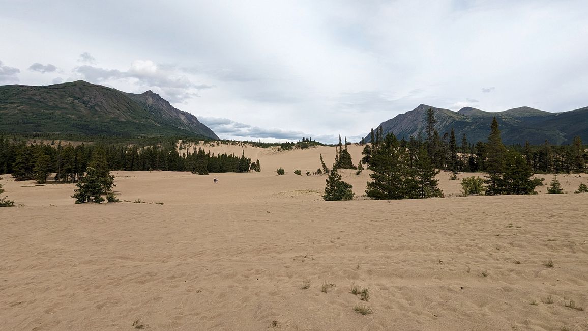 Etiqueta 21: Alrededor de Whitehorse: Cachorros de husky, Lago Esmeralda y el desierto más pequeño del mundo