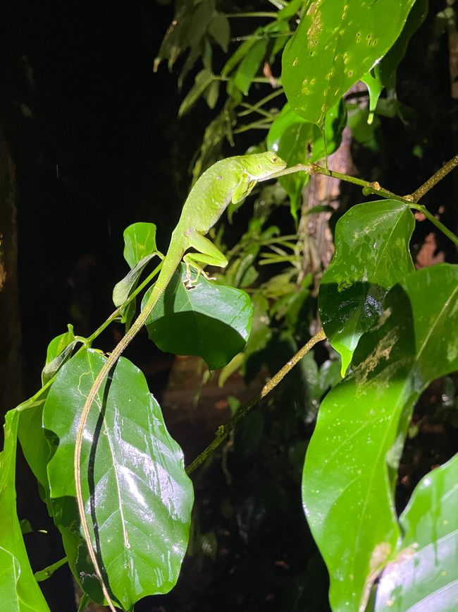 Zwei Ausflüge der besonderen Art