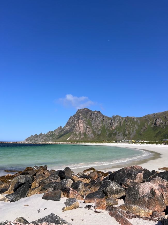 LOFOTEN - Che mondo meraviglioso?