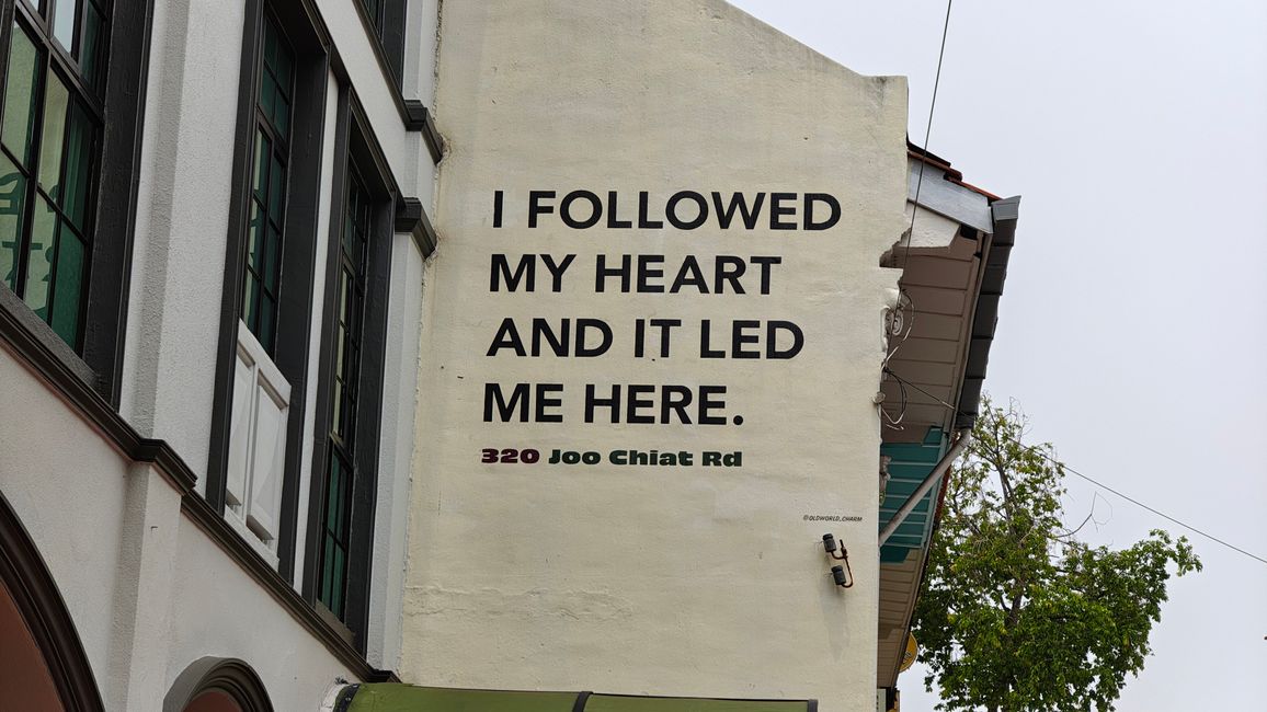 I Followed My Heart And It Led Me Here.