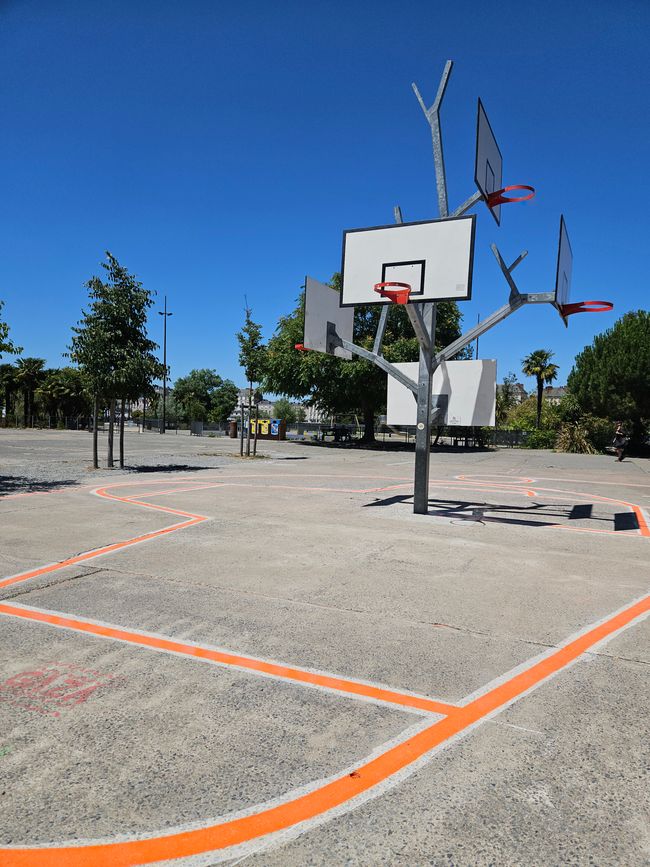 Arbre de basket