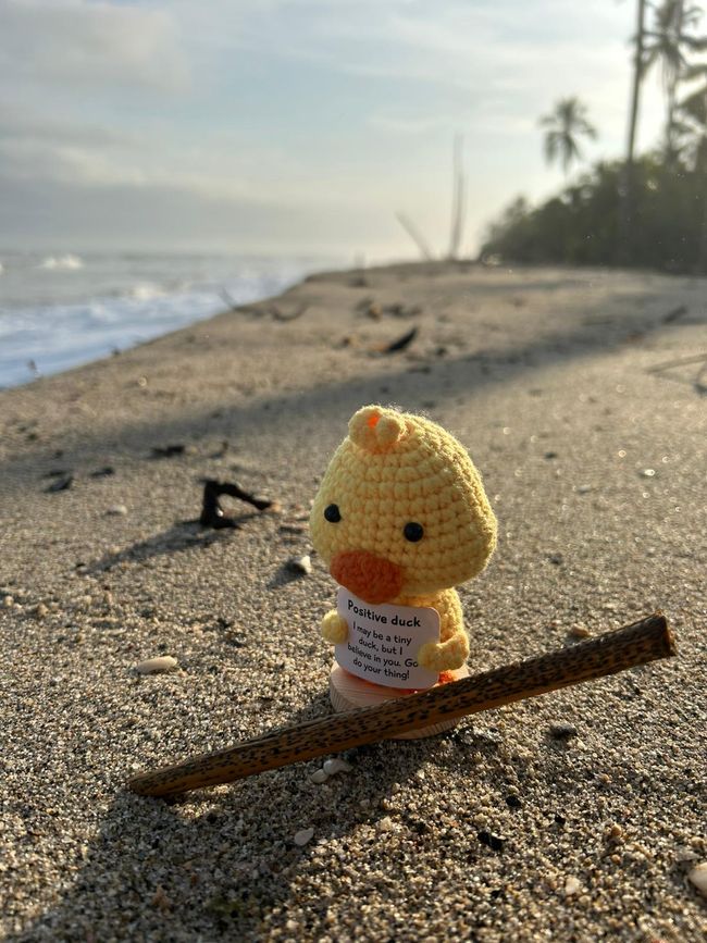 Walk along the beach. 🏝️