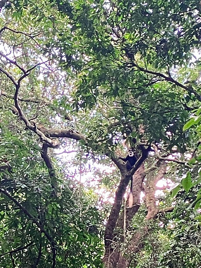 Queen Elizabeth Nationalpark