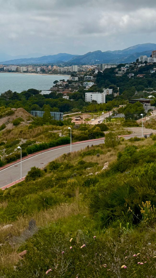 Zwischenstop Aussichtspunkt
