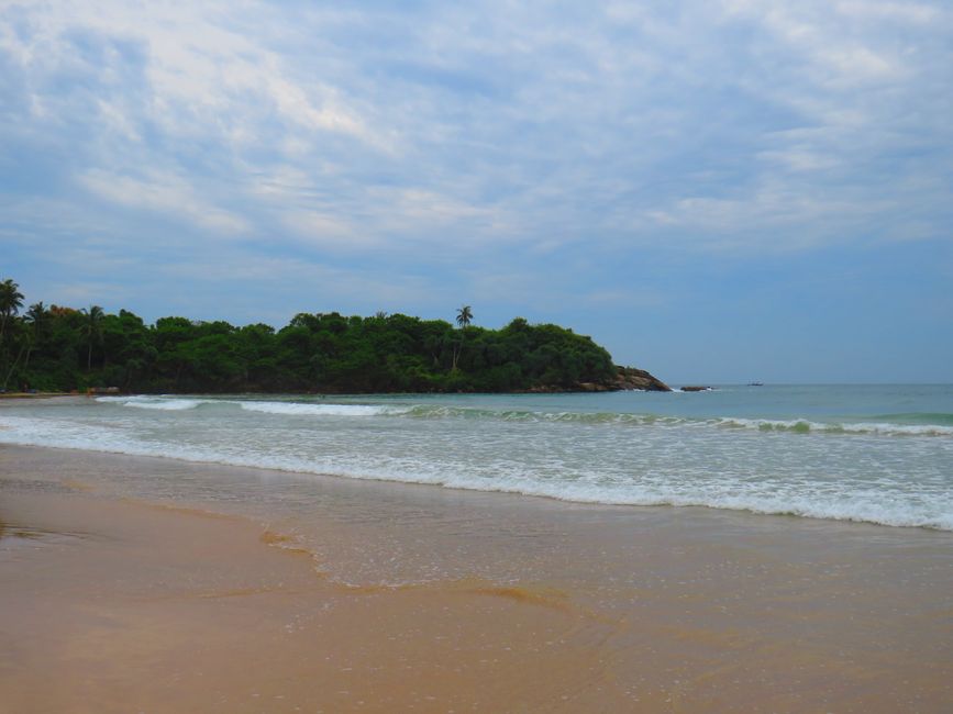 Matara - Mauvais temps, pas de baleines, mais des Salties (crocodiles d'eau salée)