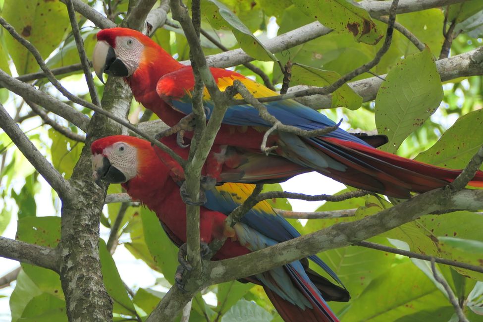 Costa Rica 2025