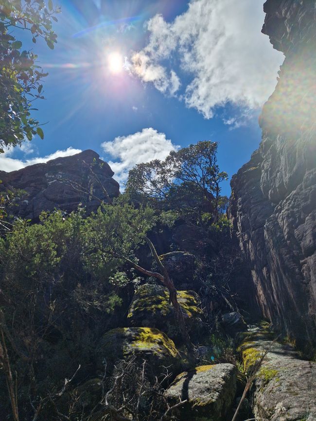 Genuss im Grampian Nationalpark