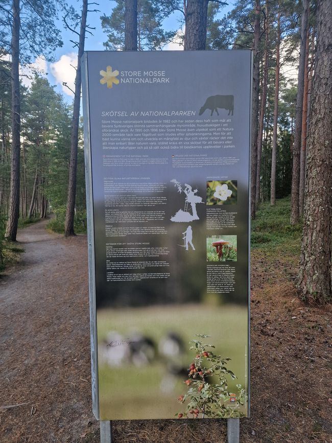 Schweden 8. Tag - Bäckerei, Zimtschnecken, Schloss Teleborg, Store Mosse Nationalpark
