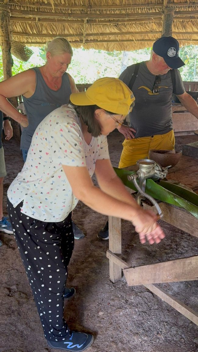 Bereitung der Kakaomasse