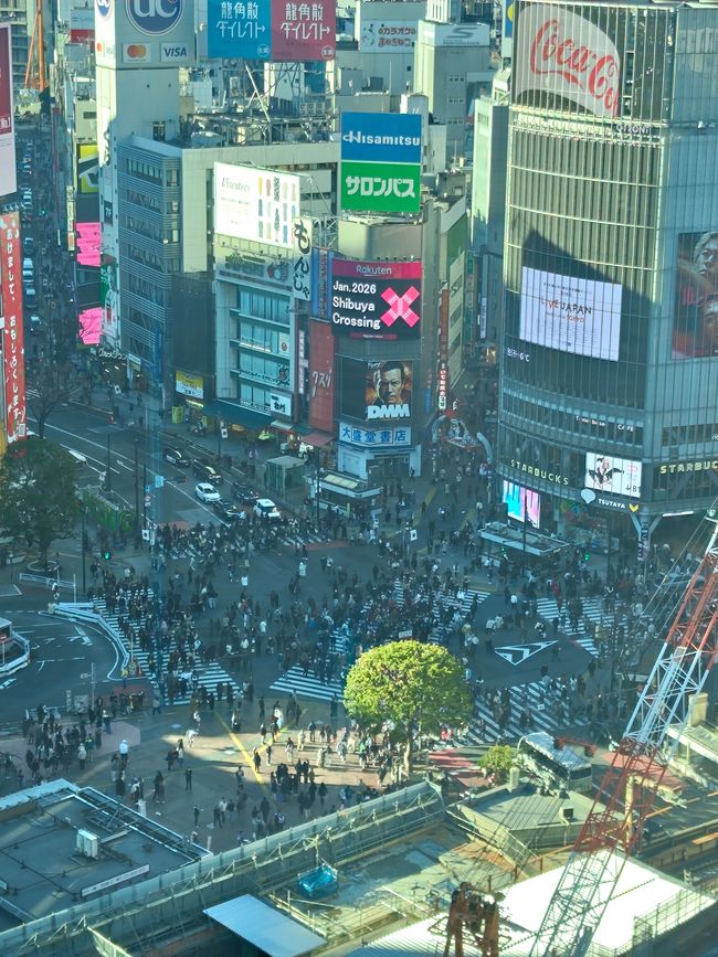 Shibuya Crossing von oben