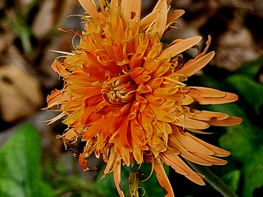 Luang Prabang - worauf kommt es an?