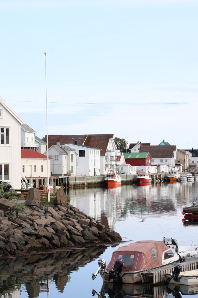 LOFOTEN - Che mondo meraviglioso?