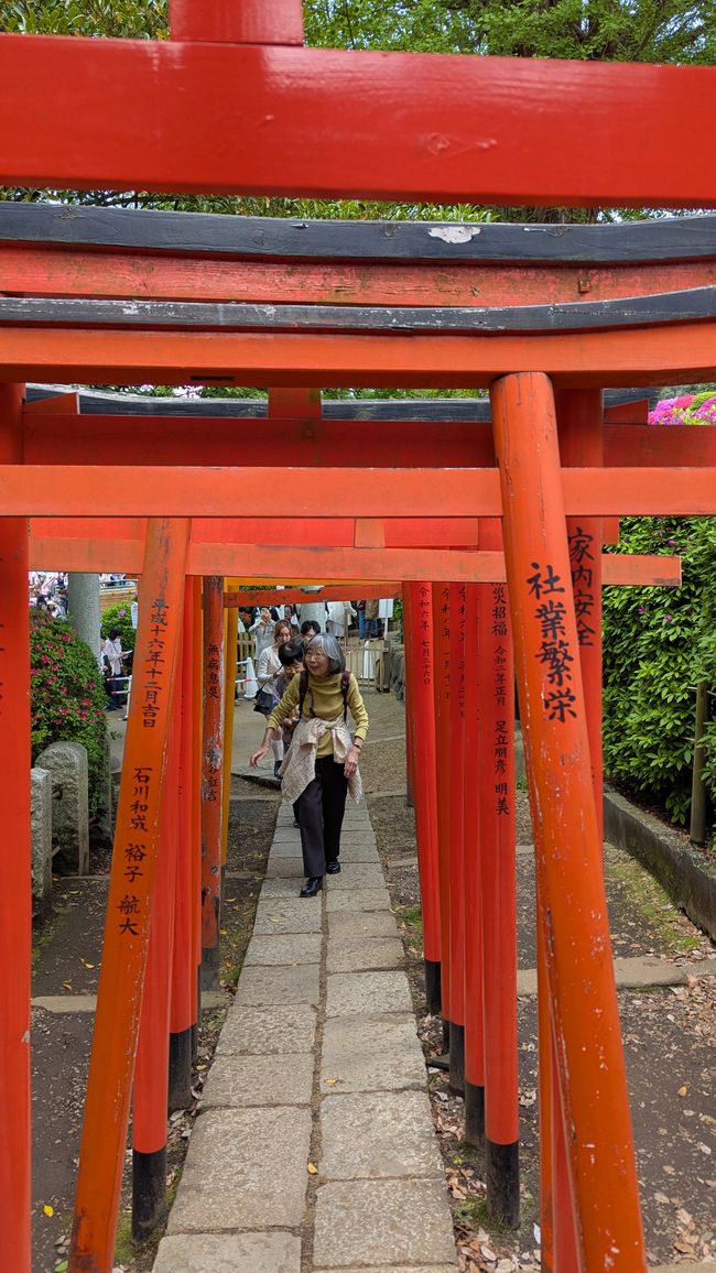 Tenno ji Tempel, Nezu Schrein, Hie und Innrie Schrein