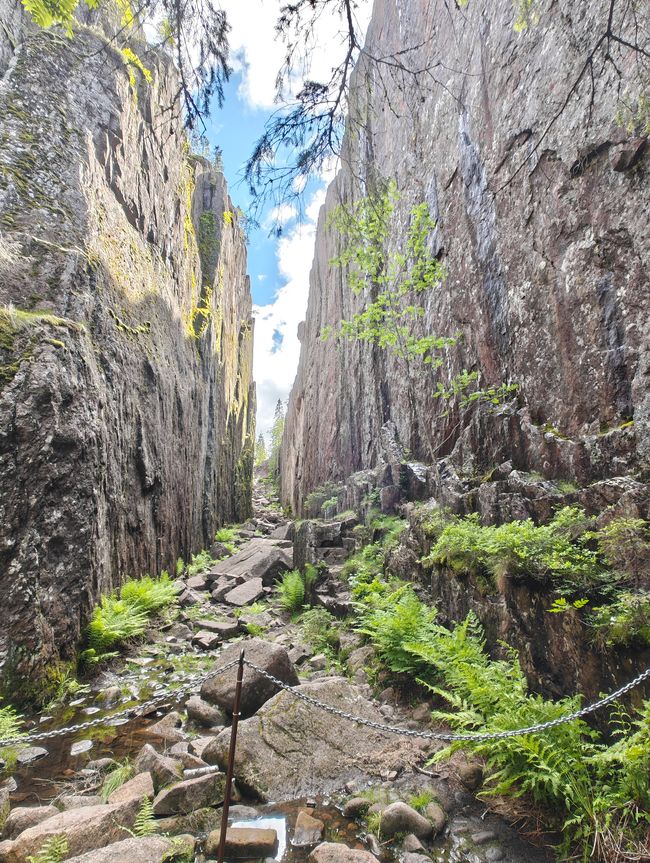 Parque Nacional Skoleskogens