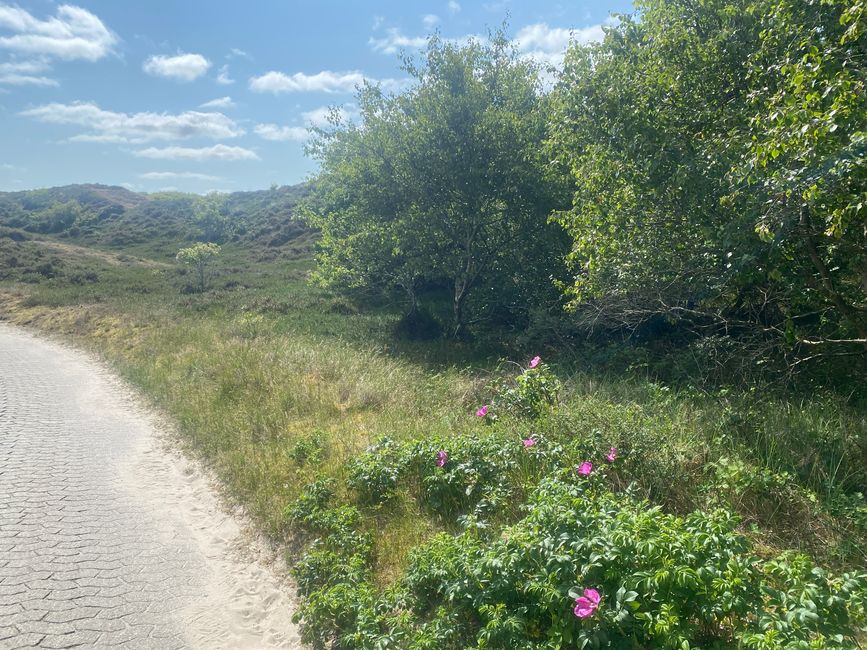 Unser Wanderweg Richtung Strand