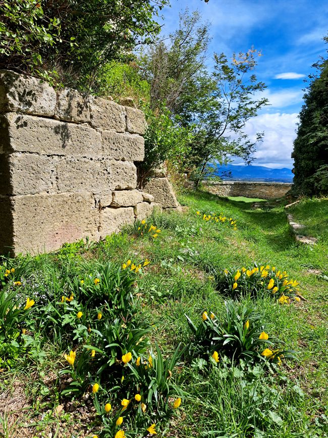 Chamaret