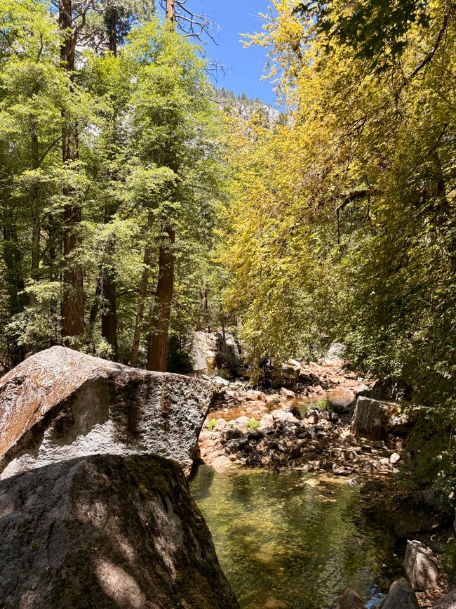 Yosemite National Park