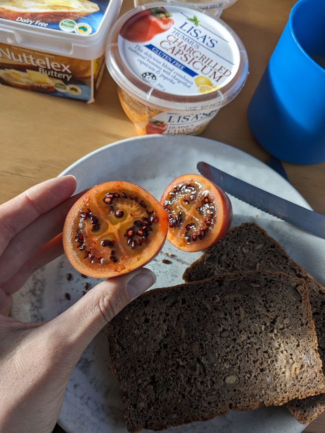 Sour tamarillo and substantial Vollkornbrot (whole grain bread) :D