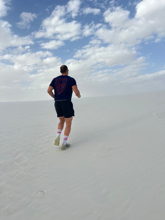 Arizona/ New Mexico/ Petrified Forest/ White Sands