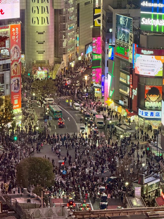 Parte 7
BENVENUTO IN GIAPPONE 🇯🇵
TOKYO