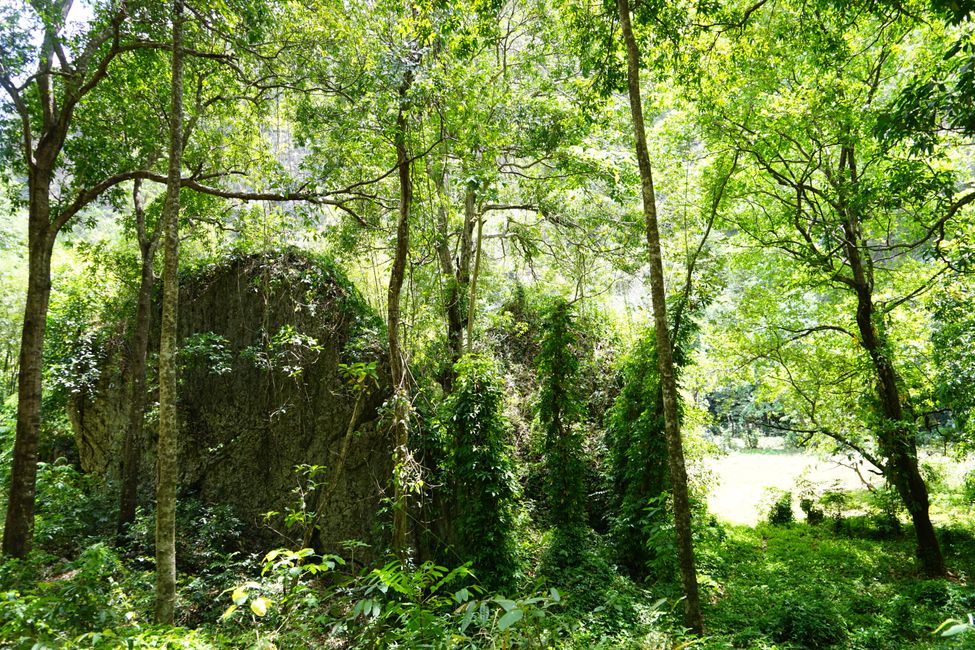 Rammang Rammang