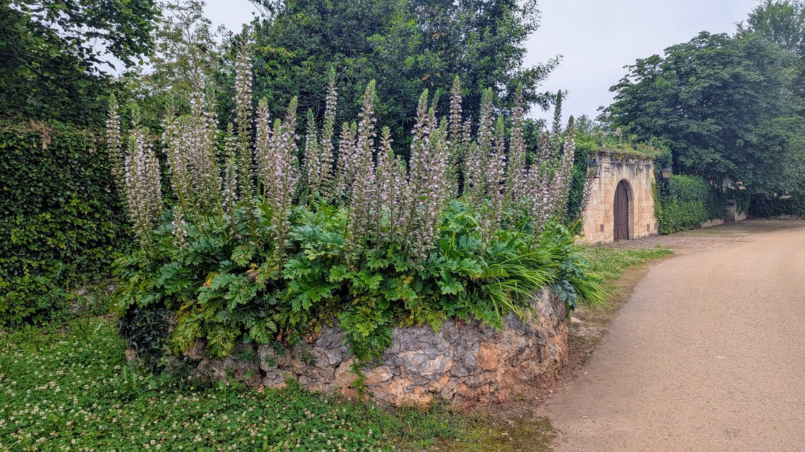 9. Etappe Camino del Norte von Santillana del Mar nach Comillas