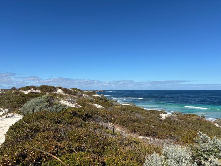 Rottnest Island