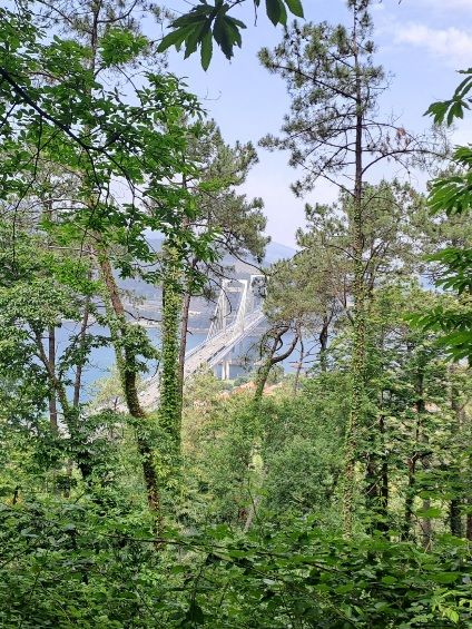 7. Etapa: Vigo - Islas Cíes - Redondela