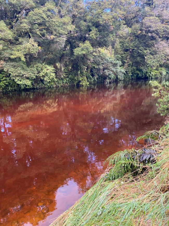 Verso Karamea