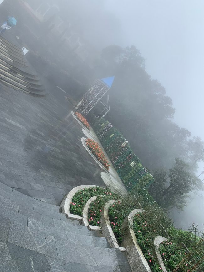 Tag 6 - Hoi An : Un Licorne Endormi et une Aventure dans le Brouillard