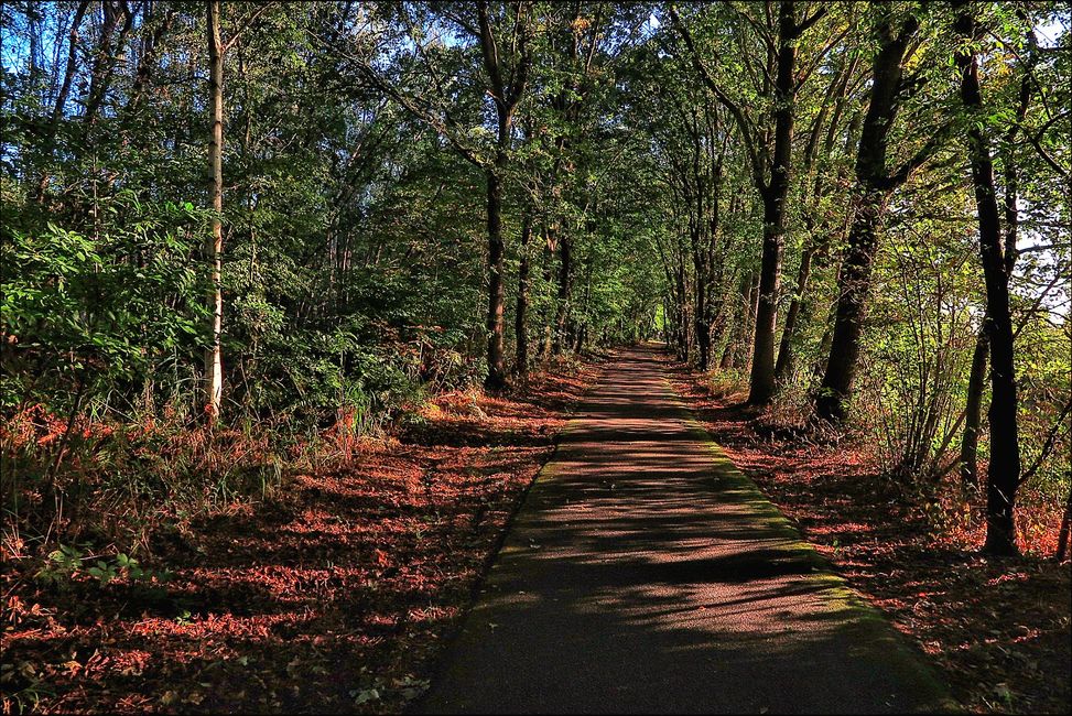 Gut ausgebautes Fahrradnetz im Hog Kempen Nationalpark