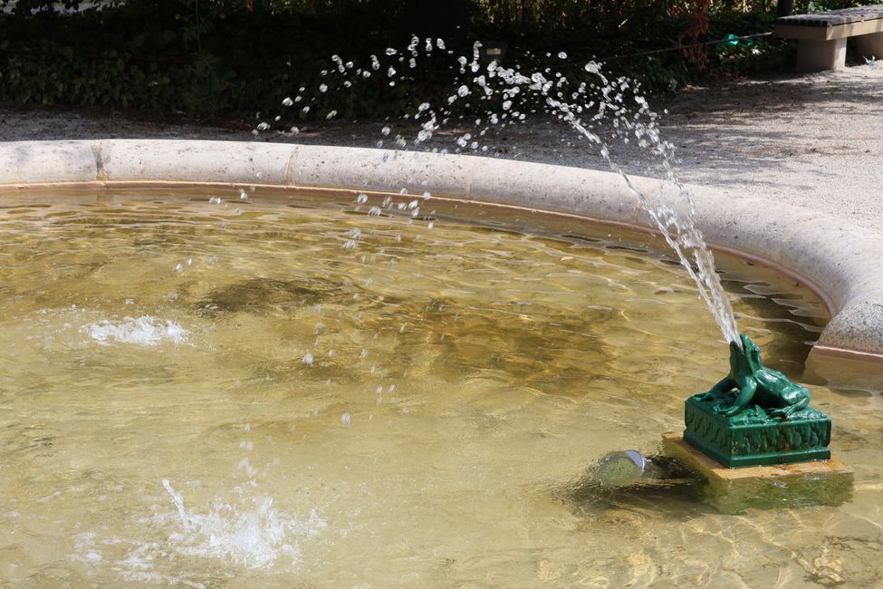 Nageur au Quai la Fontaine