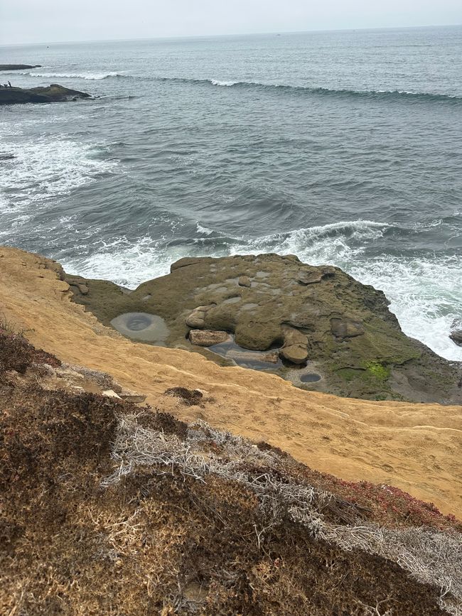 Centro de LA/ San Clemente/San Diego/Paracaidismo ❤️