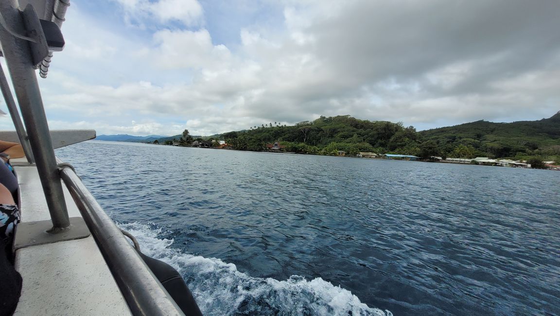 Raiatea – Along the Fa’aroa River