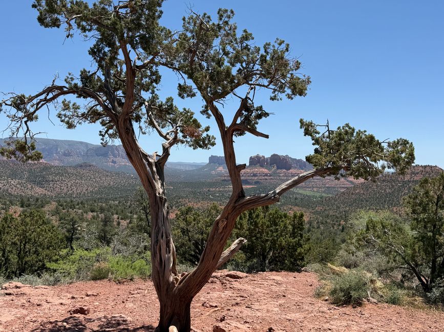 Sedona Views