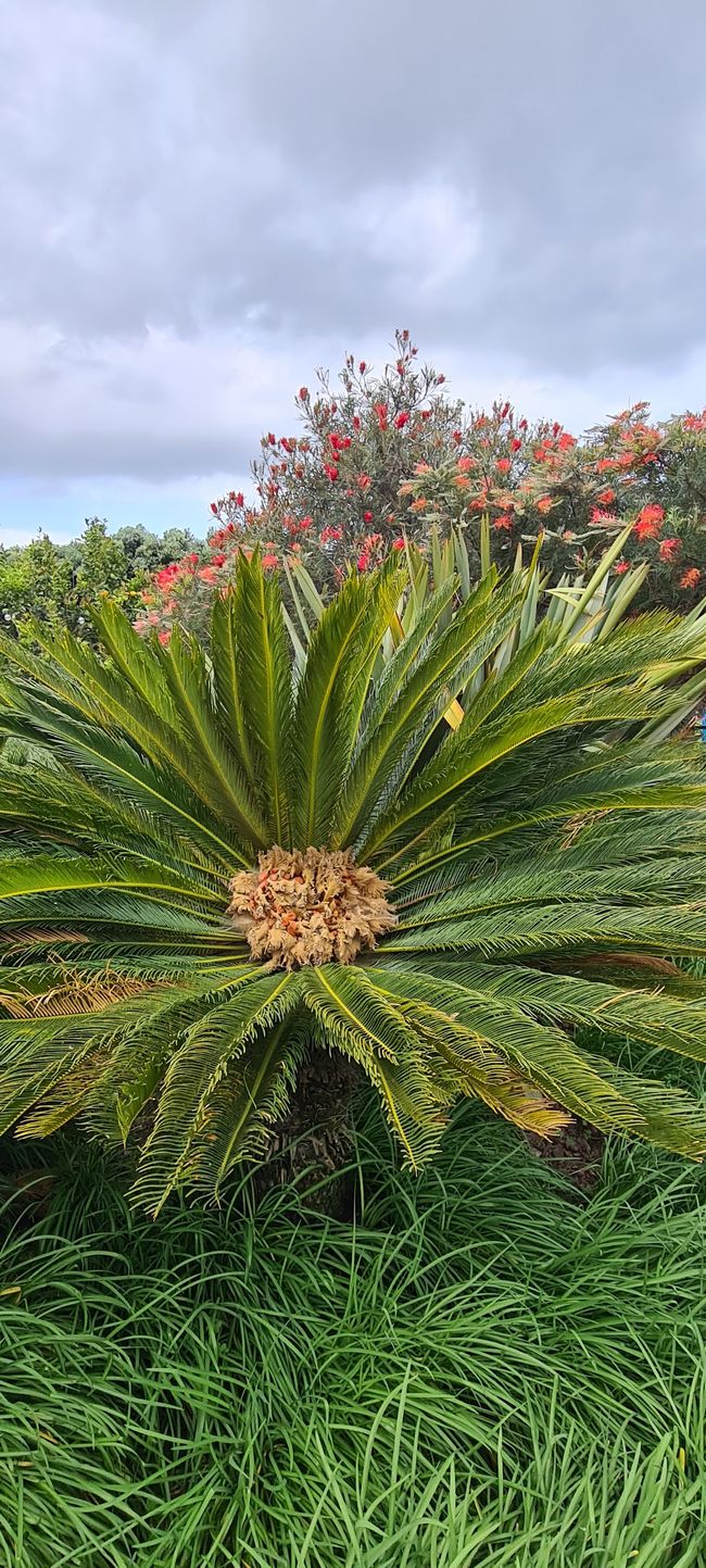 6. Etapa Praia de Odeceixe - Monte Clerigo