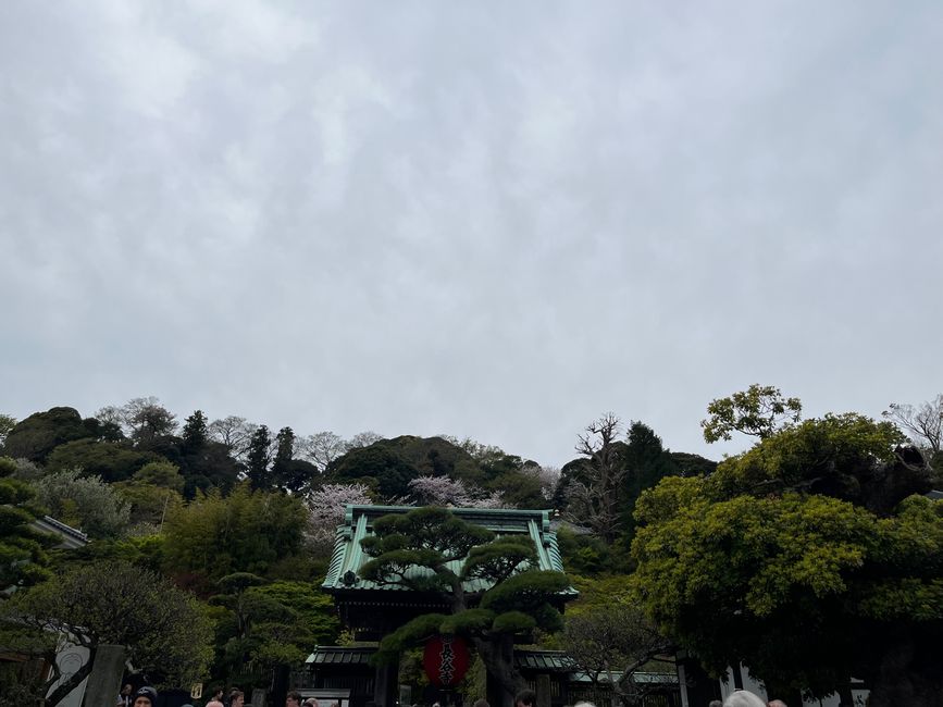 Kamakura-Freitag-11.04.25