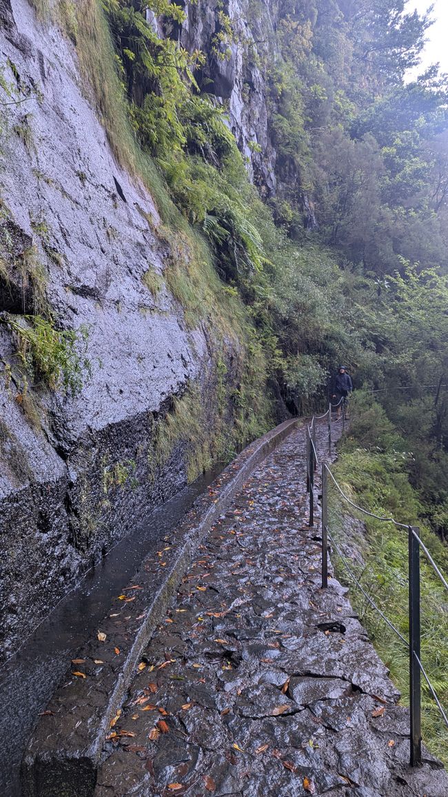 Tag 10: Levada das 25 Fontes und Risco & Feenwald