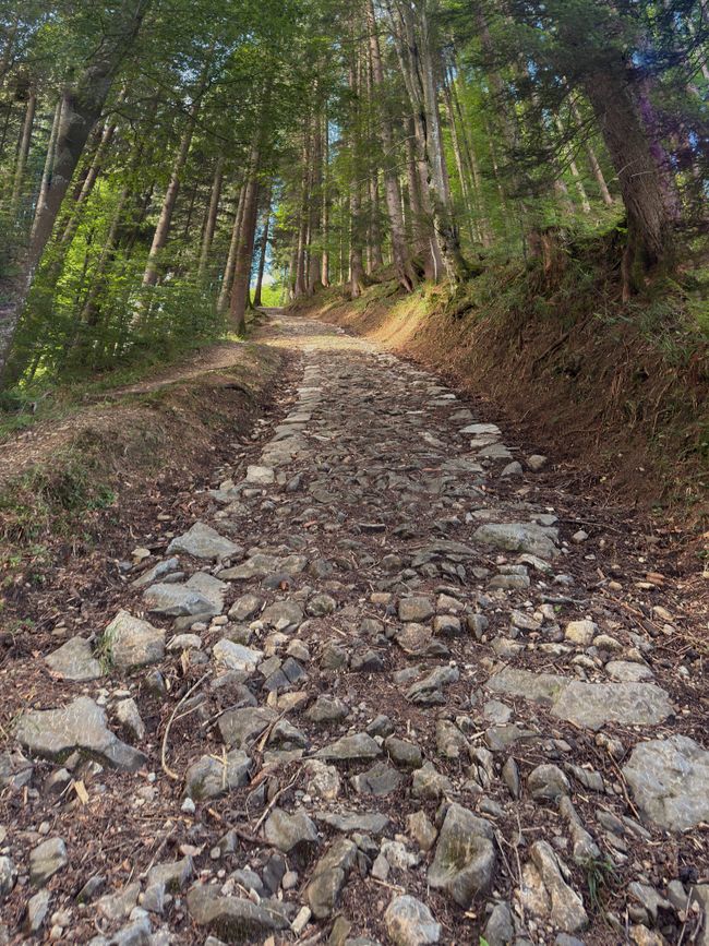 'Obsi' passo dopo passo
