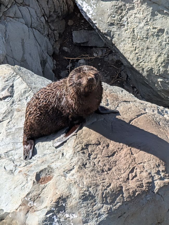 Dancing on the ferry!