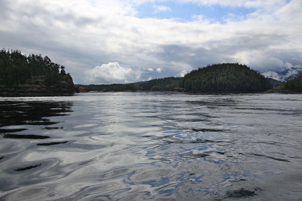 Seasmoke Whale Watching Tour