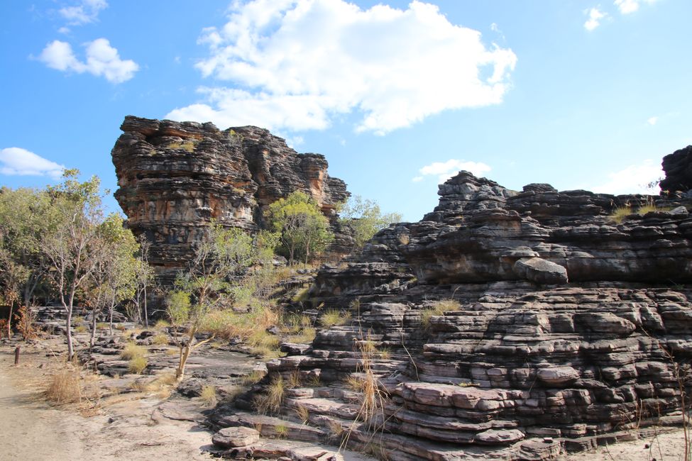 Day 23: On the way in Kakadu National Park