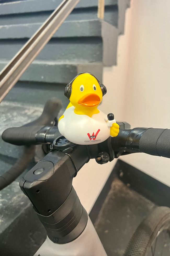 Auf Auf, DĂ€nemark wartet