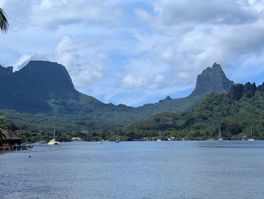 50.Tag 23.2.25 Moorea