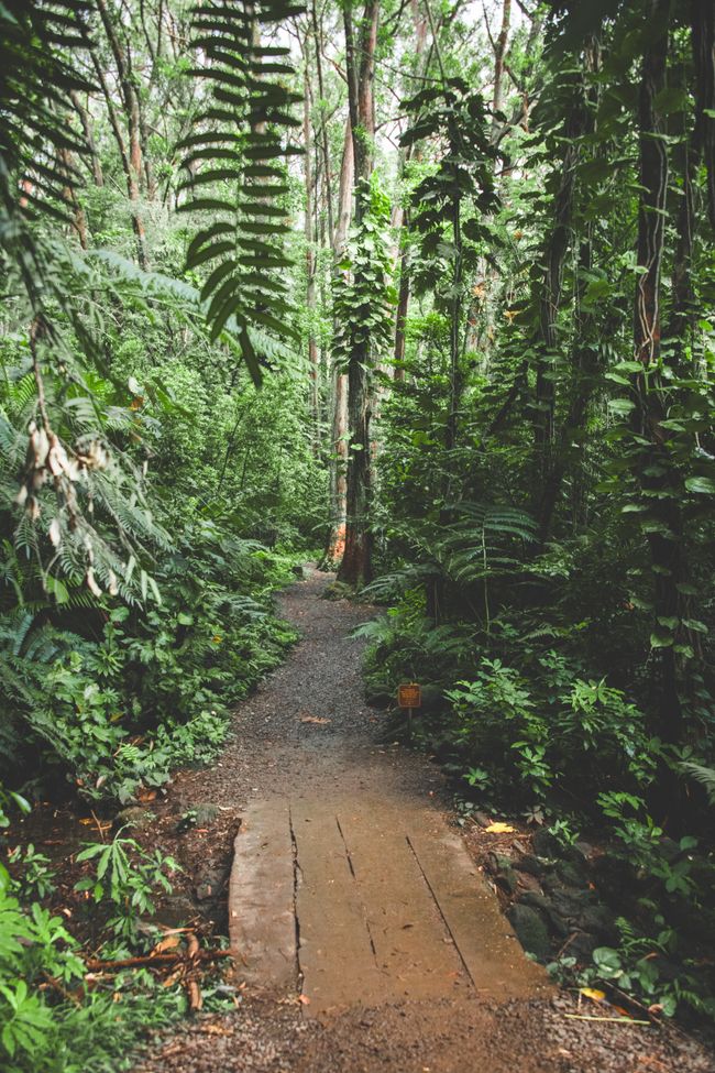 O'ahu, Hawaii