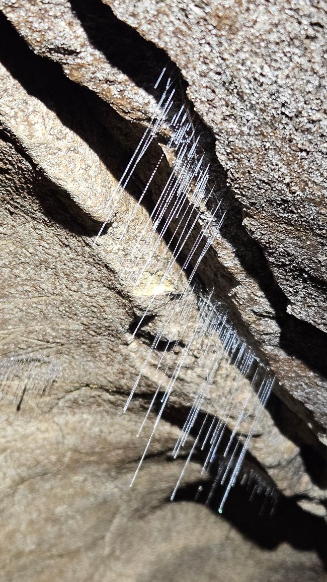 Clifden - Monkey Island - Riverton - Invercargill - Nugget Point