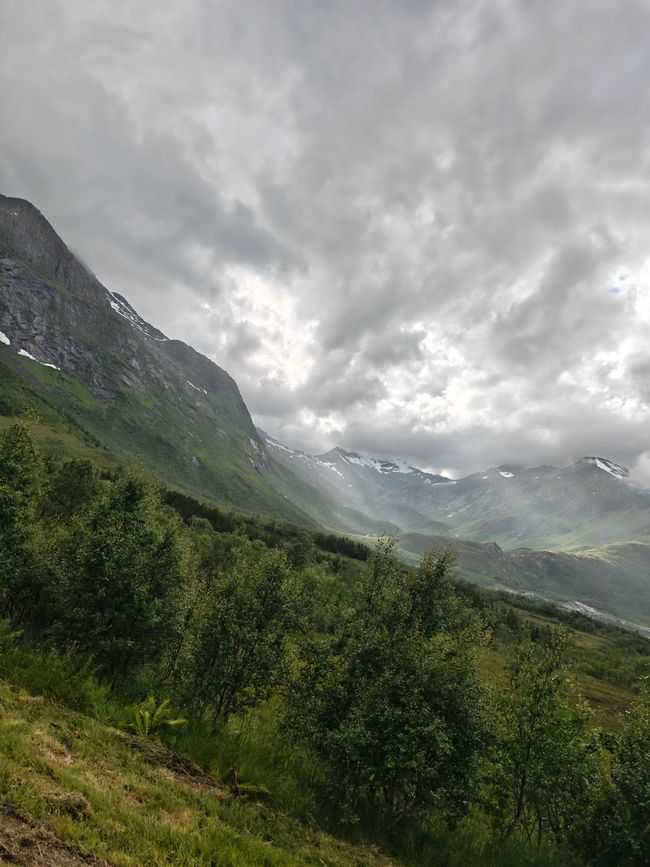 Lofoten I 