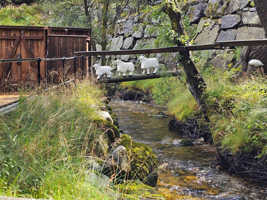 Excursión a 'Lysstoperiet'